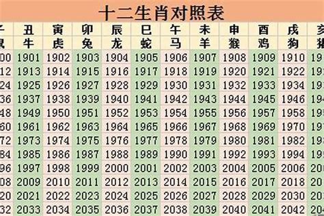 2024年什么年|2024年是属什么年 2024年是甲辰龙年